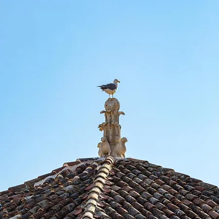 Διαμέρισμα Penthouse Matkovic