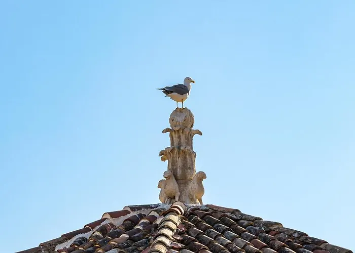 Apartment Penthouse Matkovic